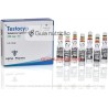 Cipionato de Testosterona 250mg/ml 10 Ampolas - Alpha Pharma