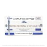 Cipionato de Testosterona 250mg/ml ZPHC 10 Ampolas | Comprar Online com Segurança