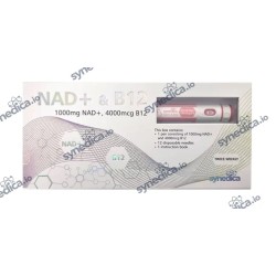 NAD+ & B12 1008mg - Synedica