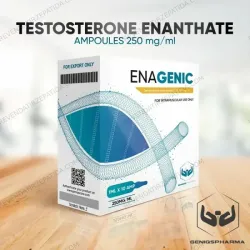 Comprar Enantato de Testosterona Geniq Pharma | 250mg 10x1ml Preço
